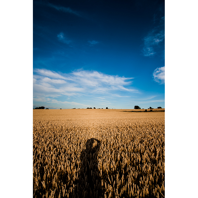 Sheepdrove Organic Farm