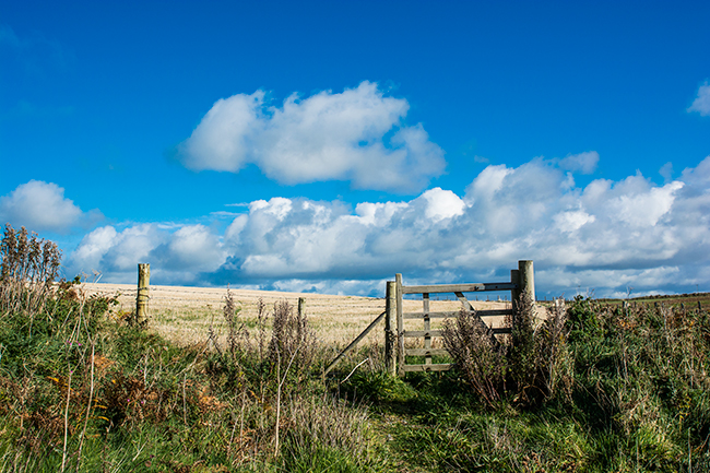 Marlowes, Pembrokeshire