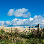 Marlowes, Pembrokeshire