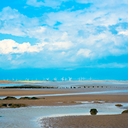 Wind farm at Winchelsea