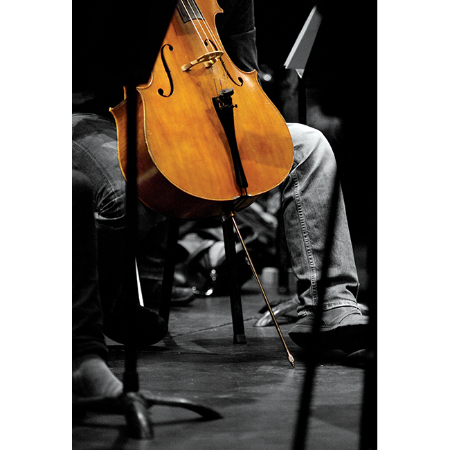 Cellist, Southern Sinfonia Cellist, Southern Sinfonia