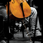 Cellist