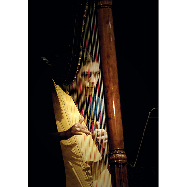 Harpist, Southern Sinfonia Harpist, Southern Sinfonia