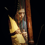 Harpist