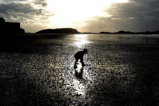 Digging for ragworms at St Malo